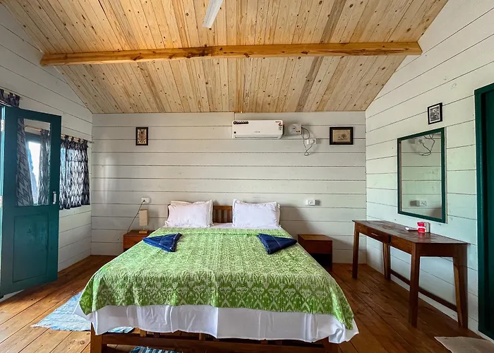 The Nest Palolem